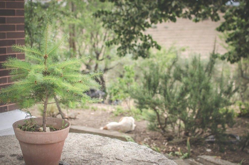 Bela Vista Silo Housing Villa Alfandega Da Fe Ngoại thất bức ảnh